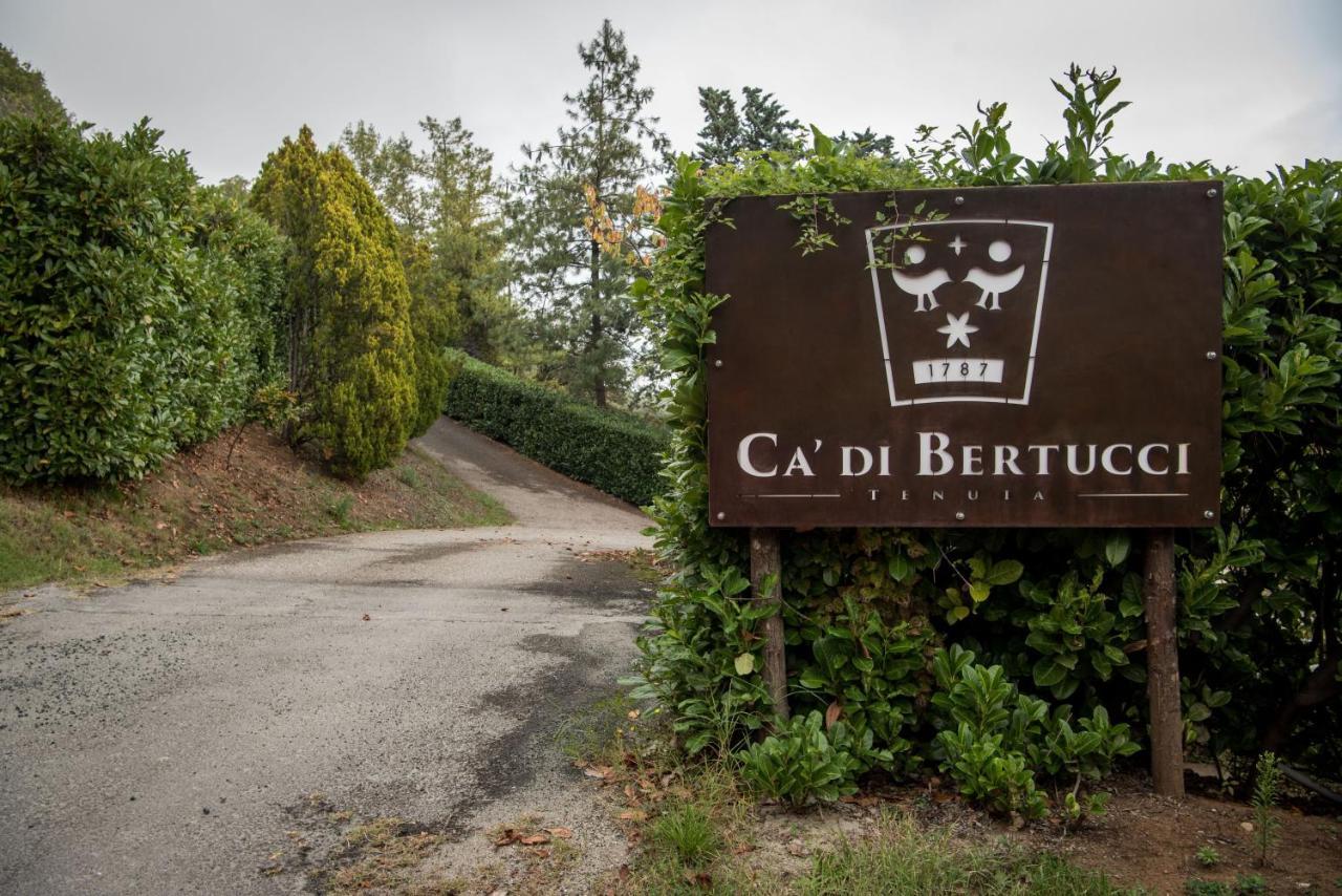 SolignanoTenuta Ca Di Bertucci公寓 外观 照片